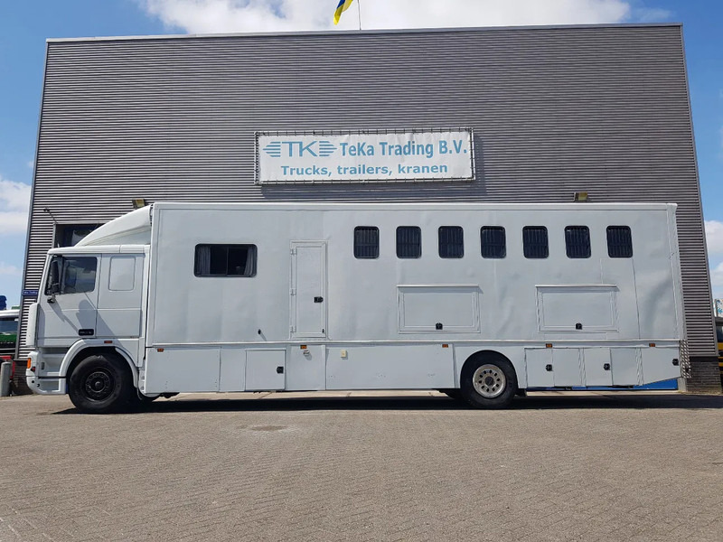DAF 95.350 Paardenwagen met zitverblijf 7 paarden 7 horses - Kamion za prijevoz konja: slika DAF 95.350 Paardenwagen met zitverblijf 7 paarden 7 horses - Kamion za prijevoz konja DAF 95.350 Paardenwagen met zitverblijf 7 paarden 7 horses - Kamion za prijevoz konja: slika DAF 95.350 Paardenwagen met zitverblijf 7 paarden 7 horses - Kamion za prijevoz konja