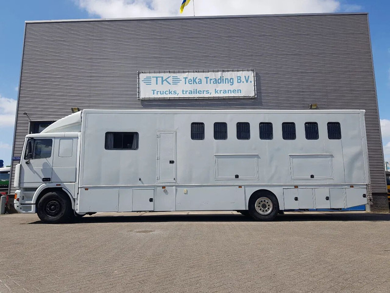 DAF 95.350 Paardenwagen met zitverblijf 7 paarden 7 horses - Kamion za prijevoz konja: slika DAF 95.350 Paardenwagen met zitverblijf 7 paarden 7 horses - Kamion za prijevoz konja DAF 95.350 Paardenwagen met zitverblijf 7 paarden 7 horses - Kamion za prijevoz konja: slika DAF 95.350 Paardenwagen met zitverblijf 7 paarden 7 horses - Kamion za prijevoz konja