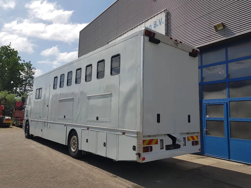 DAF 95.350 Paardenwagen met zitverblijf 7 paarden 7 horses - Kamion za prijevoz konja: slika DAF 95.350 Paardenwagen met zitverblijf 7 paarden 7 horses - Kamion za prijevoz konja DAF 95.350 Paardenwagen met zitverblijf 7 paarden 7 horses - Kamion za prijevoz konja: slika DAF 95.350 Paardenwagen met zitverblijf 7 paarden 7 horses - Kamion za prijevoz konja