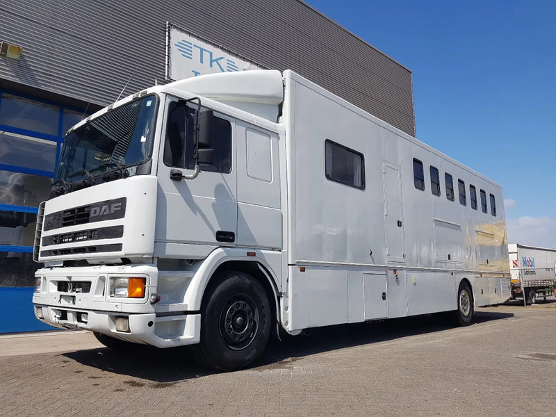 DAF 95.350 Paardenwagen met zitverblijf 7 paarden 7 horses - Kamion za prijevoz konja: slika DAF 95.350 Paardenwagen met zitverblijf 7 paarden 7 horses - Kamion za prijevoz konja DAF 95.350 Paardenwagen met zitverblijf 7 paarden 7 horses - Kamion za prijevoz konja: slika DAF 95.350 Paardenwagen met zitverblijf 7 paarden 7 horses - Kamion za prijevoz konja