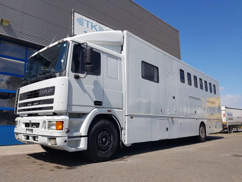 DAF 95.350 Paardenwagen met zitverblijf 7 paarden 7 horses - Kamion za prijevoz konja: slika DAF 95.350 Paardenwagen met zitverblijf 7 paarden 7 horses - Kamion za prijevoz konja DAF 95.350 Paardenwagen met zitverblijf 7 paarden 7 horses - Kamion za prijevoz konja: slika DAF 95.350 Paardenwagen met zitverblijf 7 paarden 7 horses - Kamion za prijevoz konja