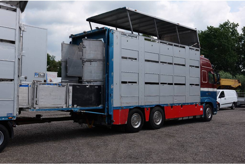 Volvo FH 13 480 6x2 3 stock livestock transport Cuppers - Kamion za prijevoz stoke: slika Volvo FH 13 480 6x2 3 stock livestock transport Cuppers - Kamion za prijevoz stoke Volvo FH 13 480 6x2 3 stock livestock transport Cuppers - Kamion za prijevoz stoke: slika Volvo FH 13 480 6x2 3 stock livestock transport Cuppers - Kamion za prijevoz stoke