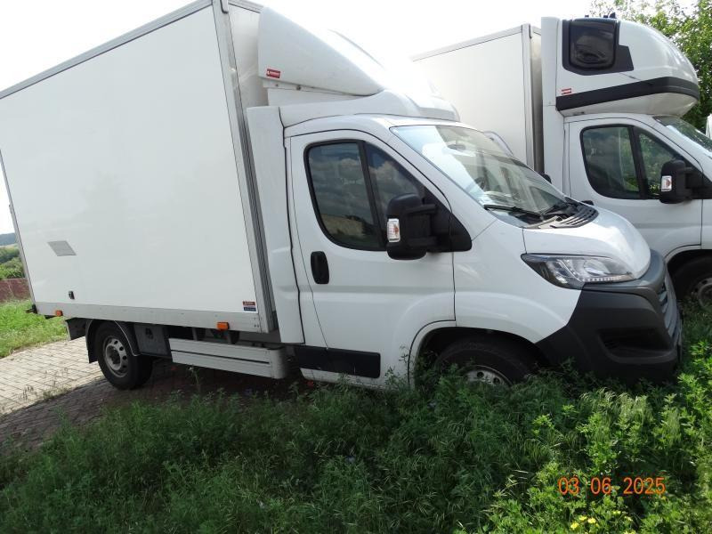 FIAT DUCATO CHŁODNIA/IZOTERMA - Dostavno vozilo hladnjača: slika FIAT DUCATO CHŁODNIA/IZOTERMA - Dostavno vozilo hladnjača FIAT DUCATO CHŁODNIA/IZOTERMA - Dostavno vozilo hladnjača: slika FIAT DUCATO CHŁODNIA/IZOTERMA - Dostavno vozilo hladnjača