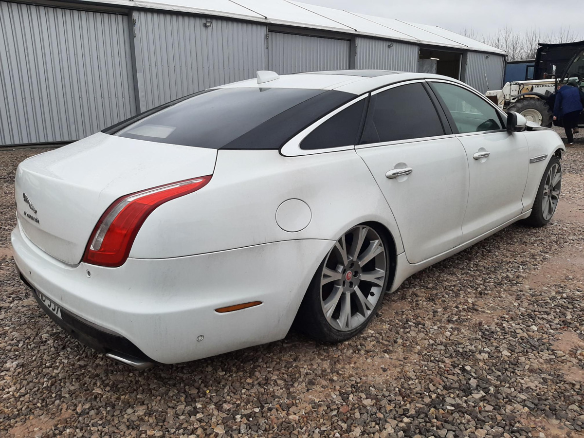 JAGUAR XJ SEDAN - Automobil: slika JAGUAR XJ SEDAN - Automobil JAGUAR XJ SEDAN - Automobil: slika JAGUAR XJ SEDAN - Automobil