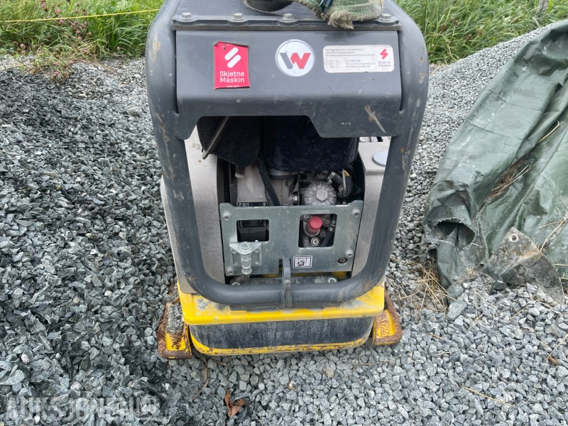 2023 Wacker Neuson DPU554HECH Strøken vibroplate/hoppetuse klar for ny eier - Valjak: slika 2023 Wacker Neuson DPU554HECH Strøken vibroplate/hoppetuse klar for ny eier - Valjak 2023 Wacker Neuson DPU554HECH Strøken vibroplate/hoppetuse klar for ny eier - Valjak: slika 2023 Wacker Neuson DPU554HECH Strøken vibroplate/hoppetuse klar for ny eier - Valjak