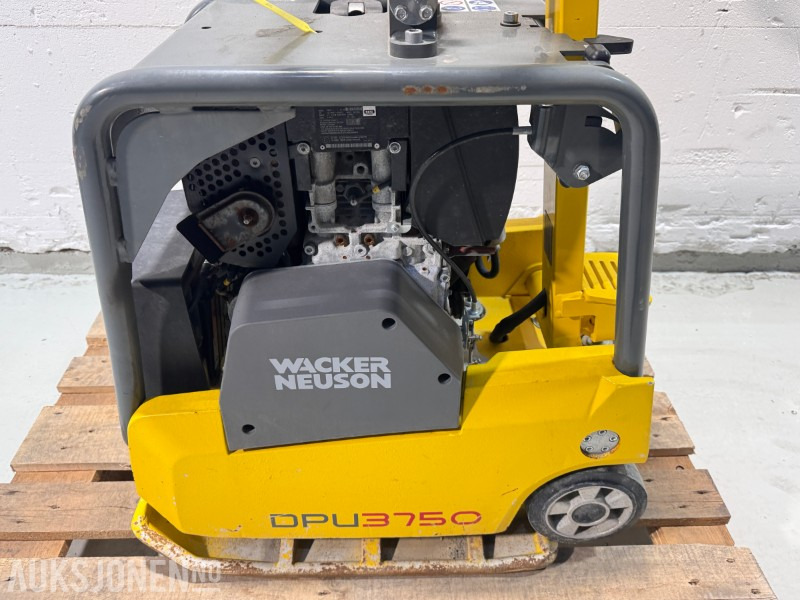 2024 Wacker Neuson DPU3750H – Reverserbar vibroplate for effektiv komprimering - Valjak: slika 2024 Wacker Neuson DPU3750H – Reverserbar vibroplate for effektiv komprimering - Valjak 2024 Wacker Neuson DPU3750H – Reverserbar vibroplate for effektiv komprimering - Valjak: slika 2024 Wacker Neuson DPU3750H – Reverserbar vibroplate for effektiv komprimering - Valjak