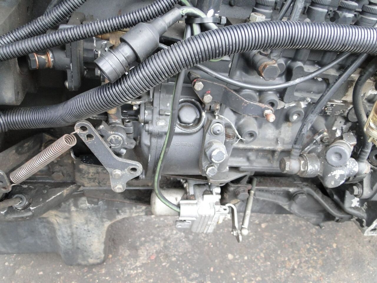 MAN D2865 LF05 MAN F90, F2000 - Motor za Kamion: slika MAN D2865 LF05 MAN F90, F2000 - Motor za Kamion MAN D2865 LF05 MAN F90, F2000 - Motor za Kamion: slika MAN D2865 LF05 MAN F90, F2000 - Motor za Kamion