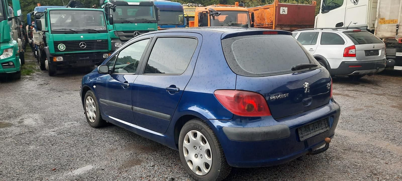 Peugeot 307 Grand Filou - Limuzina: slika Peugeot 307 Grand Filou - Limuzina Peugeot 307 Grand Filou - Limuzina: slika Peugeot 307 Grand Filou - Limuzina