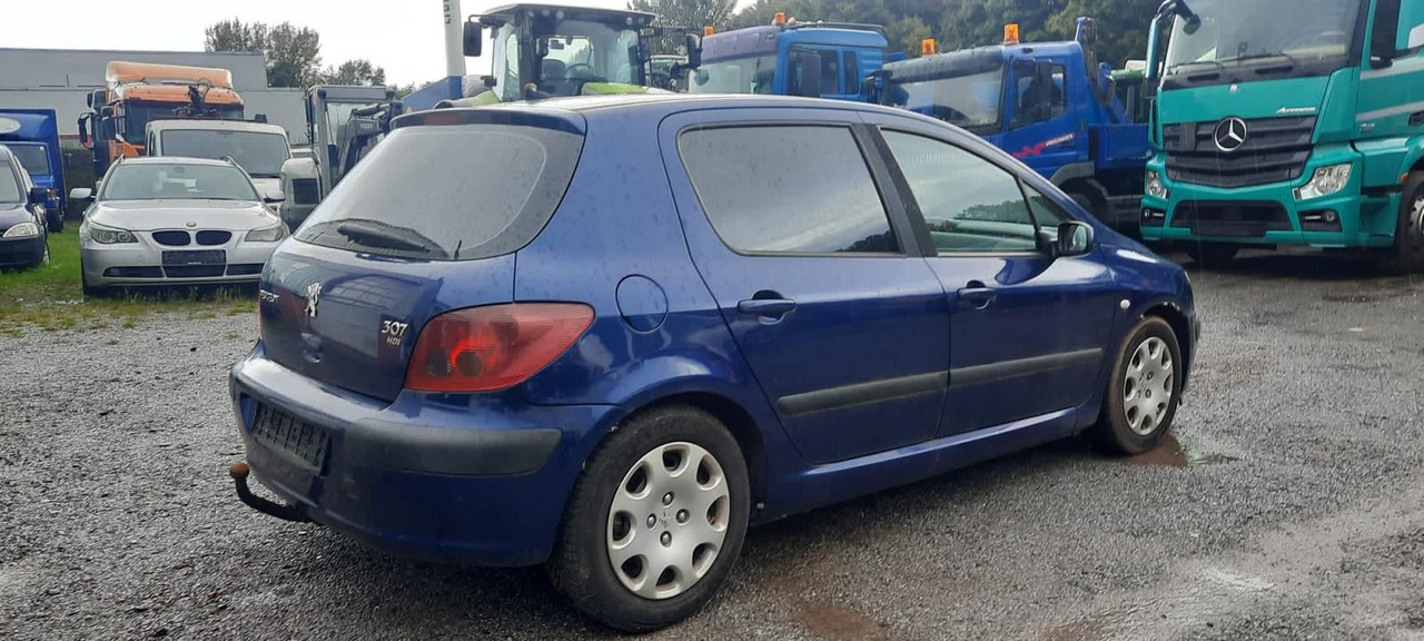 Peugeot 307 Grand Filou - Limuzina: slika Peugeot 307 Grand Filou - Limuzina Peugeot 307 Grand Filou - Limuzina: slika Peugeot 307 Grand Filou - Limuzina