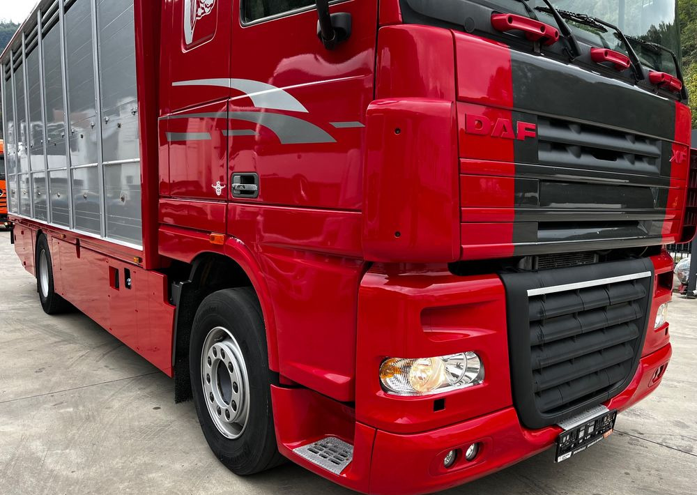 DAF XF 105.460 Euro 5 // Manual // Retarder // Do Żywca / Bydła / Zwierząt / - Kamion za prijevoz stoke: slika DAF XF 105.460 Euro 5 // Manual // Retarder // Do Żywca / Bydła / Zwierząt / - Kamion za prijevoz stoke DAF XF 105.460 Euro 5 // Manual // Retarder // Do Żywca / Bydła / Zwierząt / - Kamion za prijevoz stoke: slika DAF XF 105.460 Euro 5 // Manual // Retarder // Do Żywca / Bydła / Zwierząt / - Kamion za prijevoz stoke