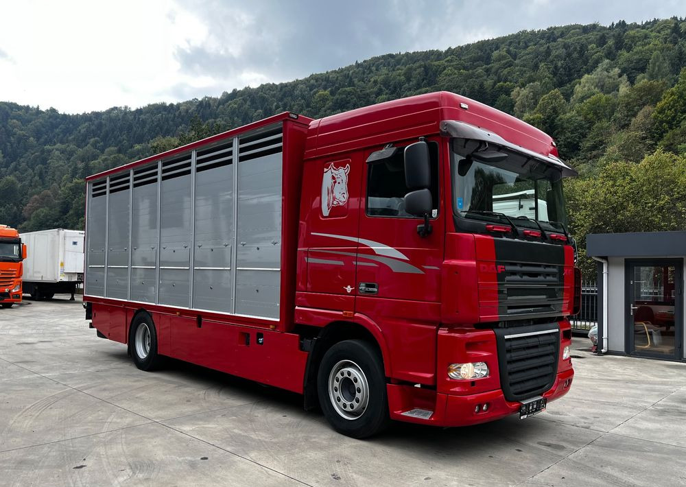 DAF XF 105.460 Euro 5 // Manual // Retarder // Do Żywca / Bydła / Zwierząt / - Kamion za prijevoz stoke: slika DAF XF 105.460 Euro 5 // Manual // Retarder // Do Żywca / Bydła / Zwierząt / - Kamion za prijevoz stoke DAF XF 105.460 Euro 5 // Manual // Retarder // Do Żywca / Bydła / Zwierząt / - Kamion za prijevoz stoke: slika DAF XF 105.460 Euro 5 // Manual // Retarder // Do Żywca / Bydła / Zwierząt / - Kamion za prijevoz stoke
