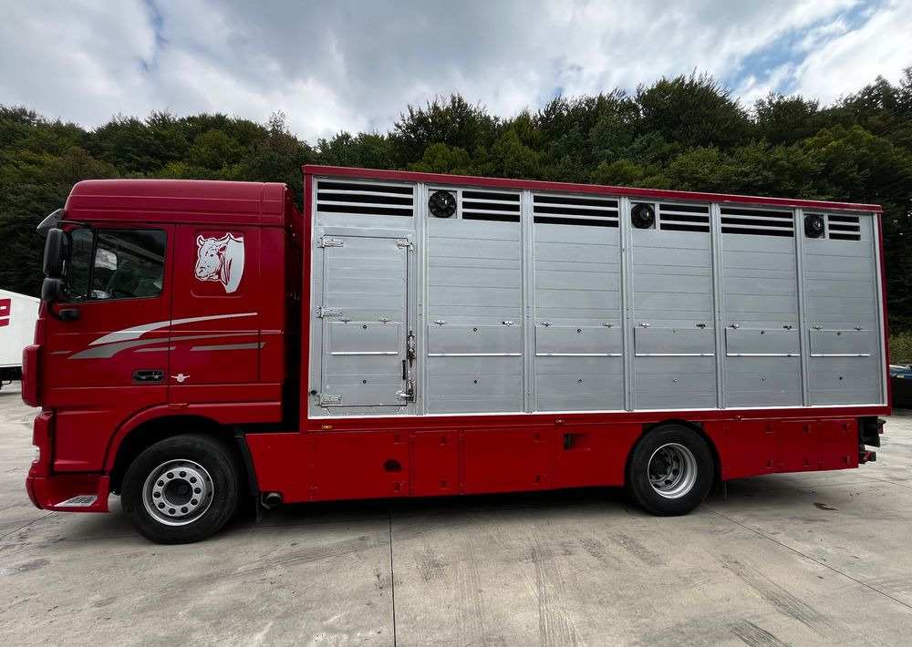 DAF XF 105.460 Euro 5 // Manual // Retarder // Do Żywca / Bydła / Zwierząt / - Kamion za prijevoz stoke: slika DAF XF 105.460 Euro 5 // Manual // Retarder // Do Żywca / Bydła / Zwierząt / - Kamion za prijevoz stoke DAF XF 105.460 Euro 5 // Manual // Retarder // Do Żywca / Bydła / Zwierząt / - Kamion za prijevoz stoke: slika DAF XF 105.460 Euro 5 // Manual // Retarder // Do Żywca / Bydła / Zwierząt / - Kamion za prijevoz stoke