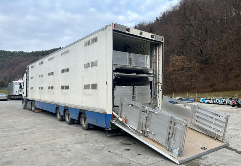 Pezzaioli HMK Industri // Do przewozu zwierząt // 2004 Rok // 3 Pokłady // Waga // Osi skrętne // Oznonacja // - Poluprikolica za prijevoz stoke: slika Pezzaioli HMK Industri // Do przewozu zwierząt // 2004 Rok // 3 Pokłady // Waga // Osi skrętne // Oznonacja // - Poluprikolica za prijevoz stoke Pezzaioli HMK Industri // Do przewozu zwierząt // 2004 Rok // 3 Pokłady // Waga // Osi skrętne // Oznonacja // - Poluprikolica za prijevoz stoke: slika Pezzaioli HMK Industri // Do przewozu zwierząt // 2004 Rok // 3 Pokłady // Waga // Osi skrętne // Oznonacja // - Poluprikolica za prijevoz stoke