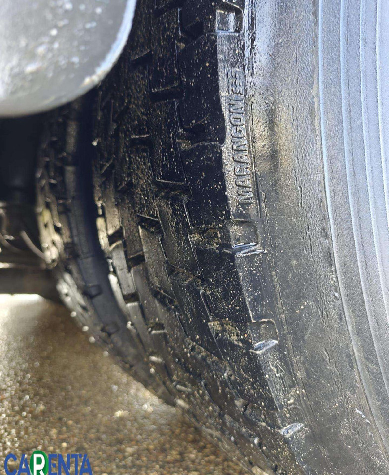 Kamion hladnjača MAN TGS: slika Kamion hladnjača MAN TGS