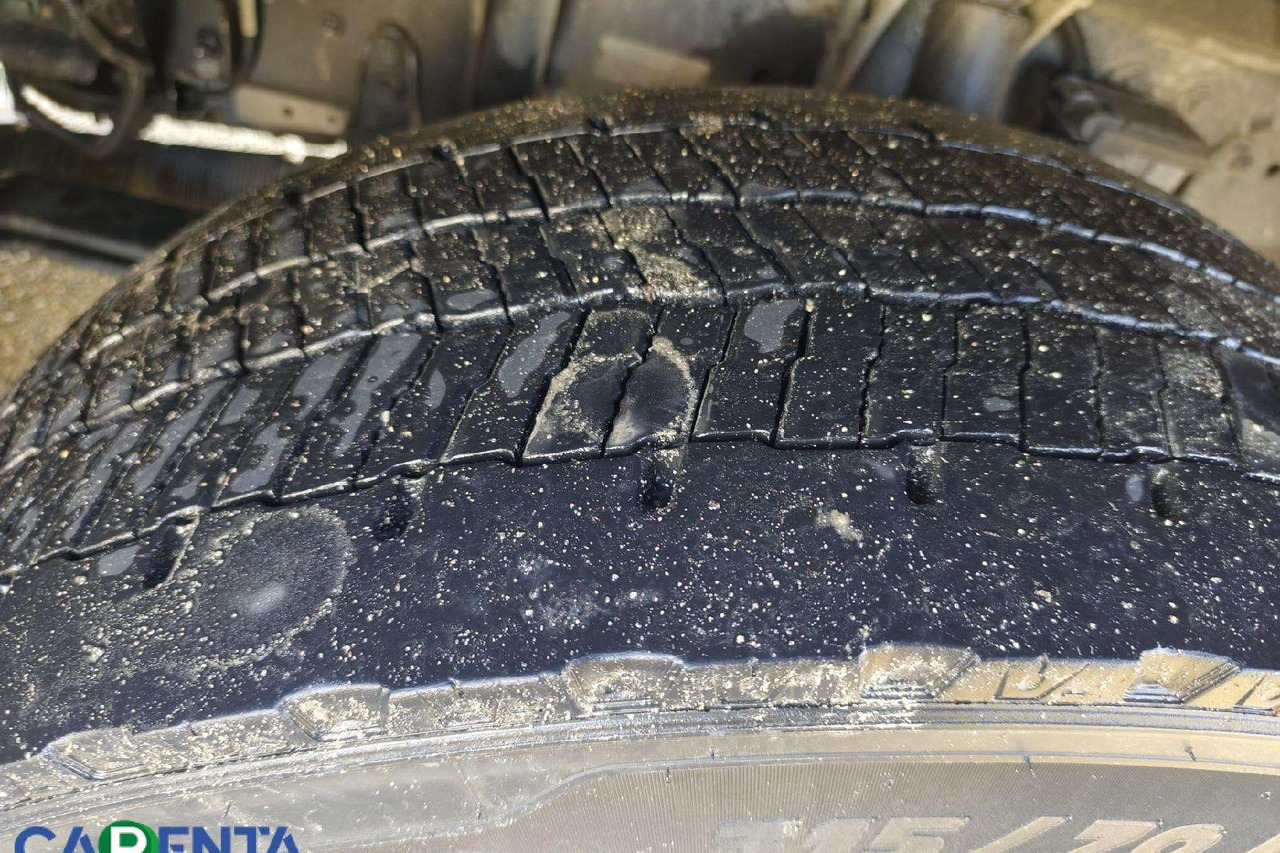 Kamion hladnjača MAN TGS: slika Kamion hladnjača MAN TGS