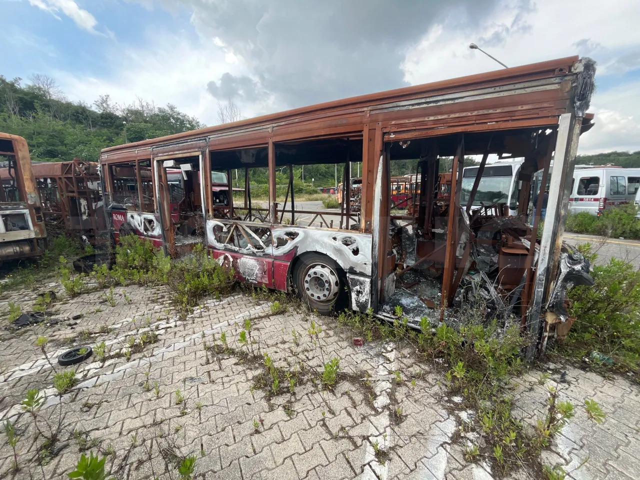 Bundle di 7 mezzi Iveco - Citelis Iveco - Citelis Iveco - Citelis Iveco - Citelis Iveco - Citelis Iveco - Citelis Iveco - Citelis - Gradski autobus: slika Bundle di 7 mezzi Iveco - Citelis Iveco - Citelis Iveco - Citelis Iveco - Citelis Iveco - Citelis Iveco - Citelis Iveco - Citelis - Gradski autobus Bundle di 7 mezzi Iveco - Citelis Iveco - Citelis Iveco - Citelis Iveco - Citelis Iveco - Citelis Iveco - Citelis Iveco - Citelis - Gradski autobus: slika Bundle di 7 mezzi Iveco - Citelis Iveco - Citelis Iveco - Citelis Iveco - Citelis Iveco - Citelis Iveco - Citelis Iveco - Citelis - Gradski autobus