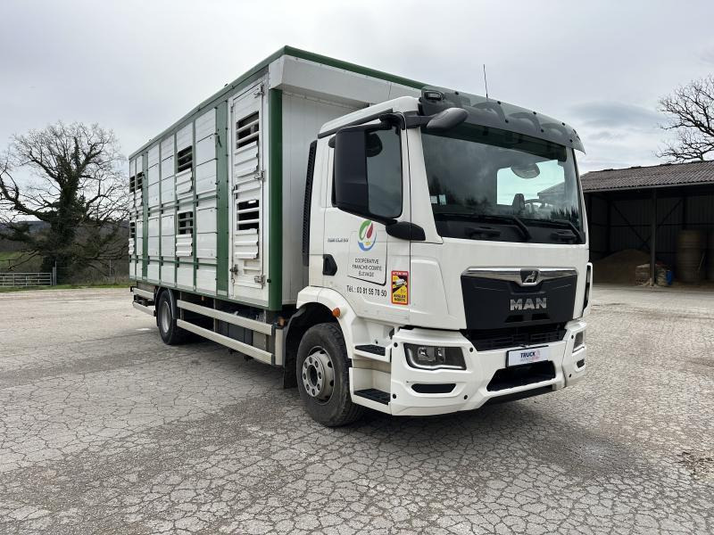 MAN M 90 15.290 TGM - Kamion za prijevoz stoke: slika MAN M 90 15.290 TGM - Kamion za prijevoz stoke MAN M 90 15.290 TGM - Kamion za prijevoz stoke: slika MAN M 90 15.290 TGM - Kamion za prijevoz stoke
