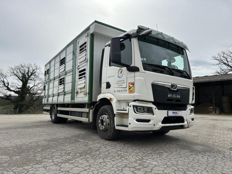 MAN M 90 15.290 TGM - Kamion za prijevoz stoke: slika MAN M 90 15.290 TGM - Kamion za prijevoz stoke MAN M 90 15.290 TGM - Kamion za prijevoz stoke: slika MAN M 90 15.290 TGM - Kamion za prijevoz stoke