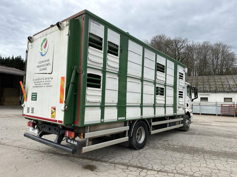MAN M 90 15.290 TGM - Kamion za prijevoz stoke: slika MAN M 90 15.290 TGM - Kamion za prijevoz stoke MAN M 90 15.290 TGM - Kamion za prijevoz stoke: slika MAN M 90 15.290 TGM - Kamion za prijevoz stoke