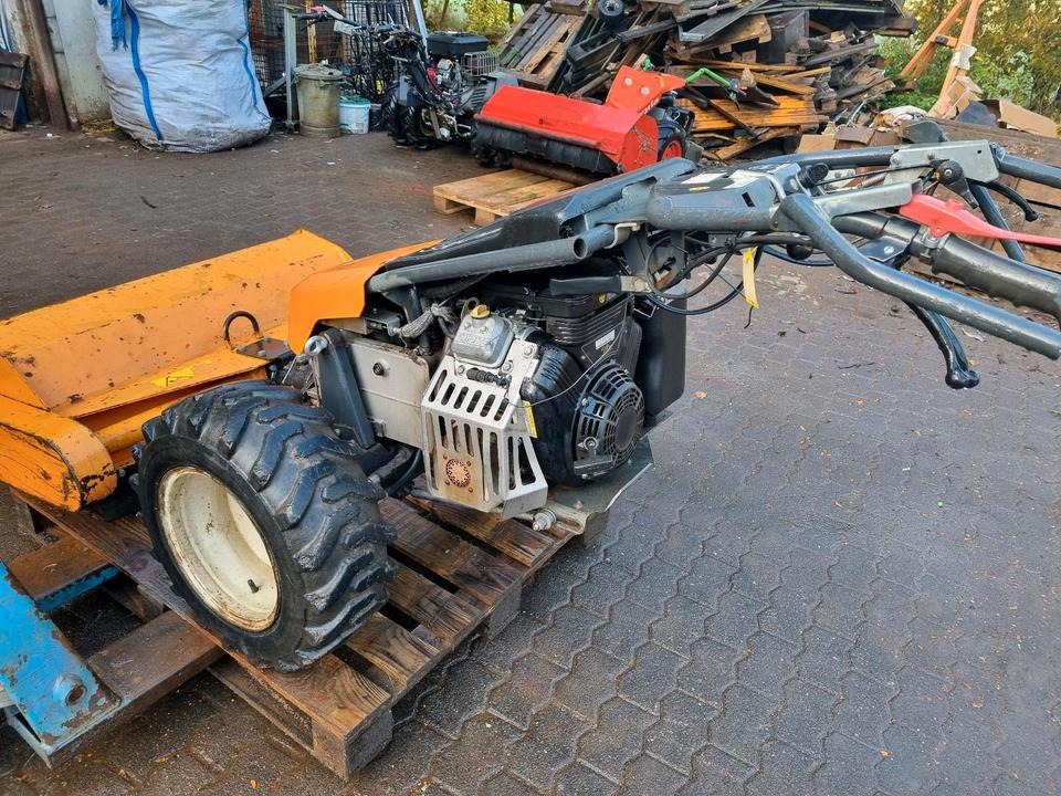 Motormäher Bucher Elite 14 Mulchmäher Agria Taifun Motormulcher Böschungsmulcher Böschungsmäher Seitenmulcher Mähausleger Bucher Irus Balkenmäher Hydrostat Mähraupe - Vrtna kosilica: slika Motormäher Bucher Elite 14 Mulchmäher Agria Taifun Motormulcher Böschungsmulcher Böschungsmäher Seitenmulcher Mähausleger Bucher Irus Balkenmäher Hydrostat Mähraupe - Vrtna kosilica Motormäher Bucher Elite 14 Mulchmäher Agria Taifun Motormulcher Böschungsmulcher Böschungsmäher Seitenmulcher Mähausleger Bucher Irus Balkenmäher Hydrostat Mähraupe - Vrtna kosilica: slika Motormäher Bucher Elite 14 Mulchmäher Agria Taifun Motormulcher Böschungsmulcher Böschungsmäher Seitenmulcher Mähausleger Bucher Irus Balkenmäher Hydrostat Mähraupe - Vrtna kosilica