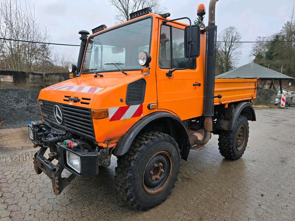 Unimog U1400 Agrar bj. 1995 424 427/10 Mercedes-Benz 1400 1600 1200 1000 - Kiper, Namjenska/ Posebna vozila: slika Unimog U1400 Agrar bj. 1995 424 427/10 Mercedes-Benz 1400 1600 1200 1000 - Kiper, Namjenska/ Posebna vozila Unimog U1400 Agrar bj. 1995 424 427/10 Mercedes-Benz 1400 1600 1200 1000 - Kiper, Namjenska/ Posebna vozila: slika Unimog U1400 Agrar bj. 1995 424 427/10 Mercedes-Benz 1400 1600 1200 1000 - Kiper, Namjenska/ Posebna vozila