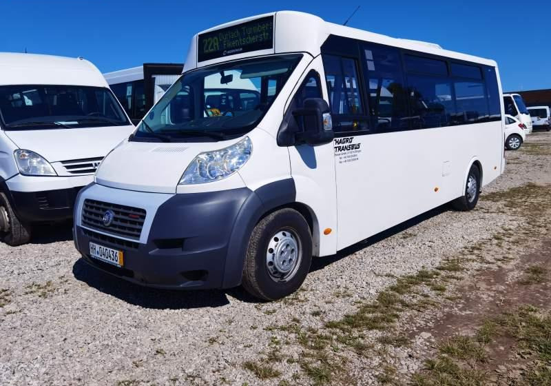 Fiat Ducato miejski, przewóz osób niepełnosprawnych - Gradski autobus: slika Fiat Ducato miejski, przewóz osób niepełnosprawnych - Gradski autobus Fiat Ducato miejski, przewóz osób niepełnosprawnych - Gradski autobus: slika Fiat Ducato miejski, przewóz osób niepełnosprawnych - Gradski autobus