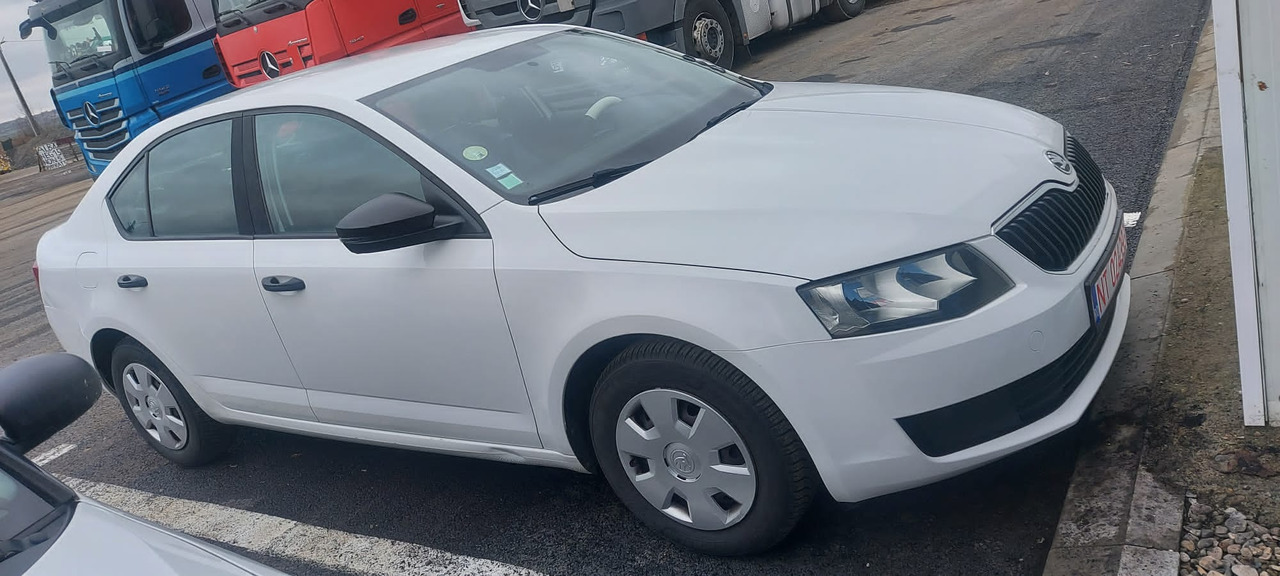 SKODA OCTAVIA - Automobil: slika SKODA OCTAVIA - Automobil SKODA OCTAVIA - Automobil: slika SKODA OCTAVIA - Automobil