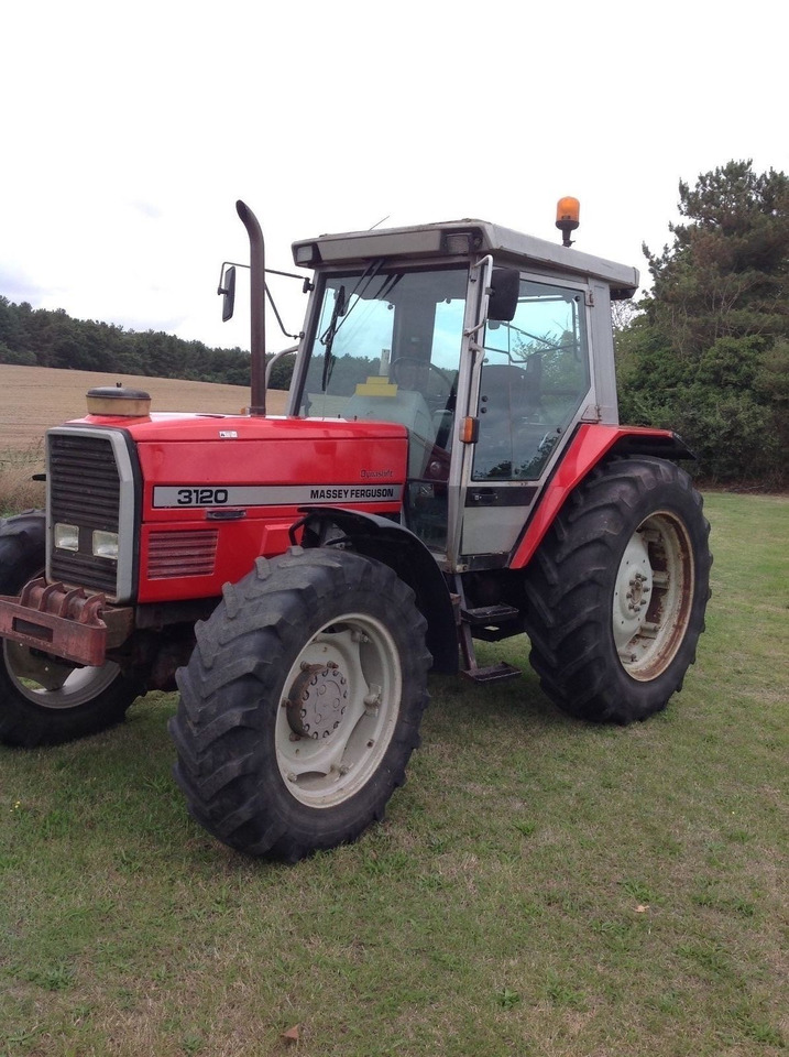 Massey Ferguson 3120 - Traktor: slika Massey Ferguson 3120 - Traktor Massey Ferguson 3120 - Traktor: slika Massey Ferguson 3120 - Traktor