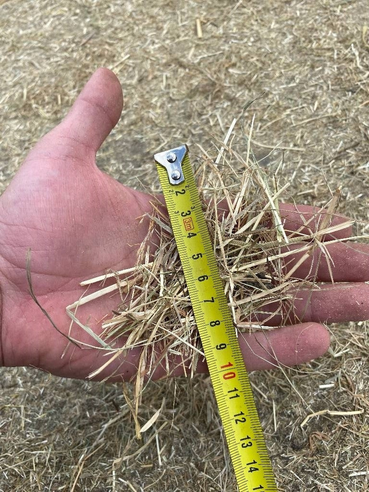 Novi Stroj za usitnjavanje slame Bizon B-1030: slika Novi Stroj za usitnjavanje slame Bizon B-1030