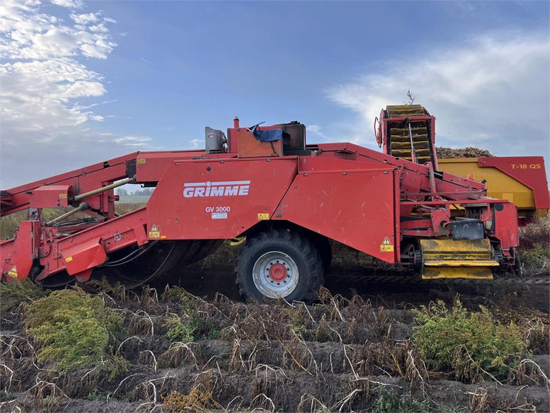 Grimme GV 3000 - Kombajn za krumpir: slika Grimme GV 3000 - Kombajn za krumpir Grimme GV 3000 - Kombajn za krumpir: slika Grimme GV 3000 - Kombajn za krumpir