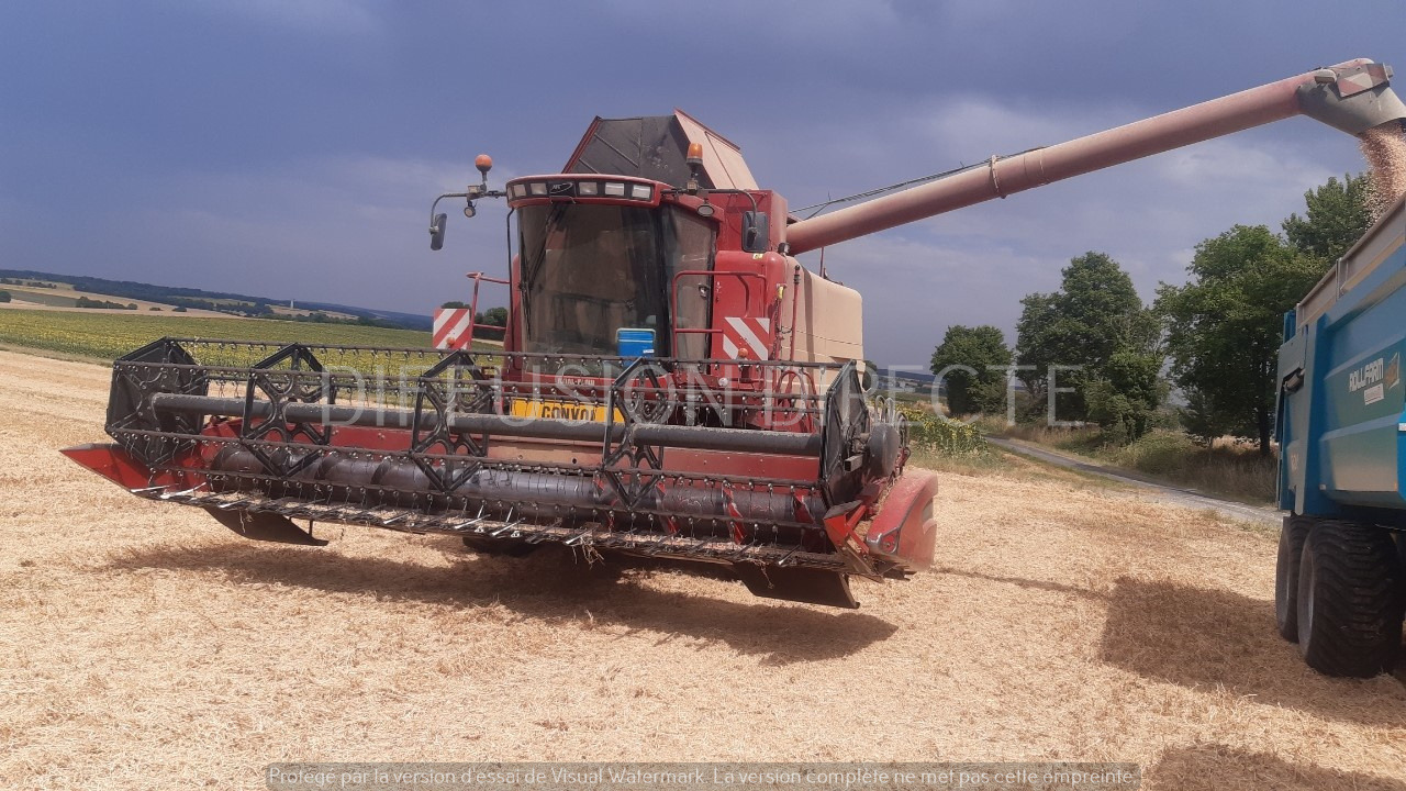 CASE IH MOISSONNEUSE BATTEUSE 2388 X-CLUSIVE - Kombajn za žetvu: slika CASE IH MOISSONNEUSE BATTEUSE 2388 X-CLUSIVE - Kombajn za žetvu CASE IH MOISSONNEUSE BATTEUSE 2388 X-CLUSIVE - Kombajn za žetvu: slika CASE IH MOISSONNEUSE BATTEUSE 2388 X-CLUSIVE - Kombajn za žetvu