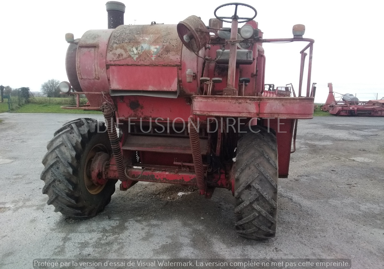 MASSEY FERGUSON MOISSONNEUSE BATTEUSE 500 - Kombajn: slika MASSEY FERGUSON MOISSONNEUSE BATTEUSE 500 - Kombajn MASSEY FERGUSON MOISSONNEUSE BATTEUSE 500 - Kombajn: slika MASSEY FERGUSON MOISSONNEUSE BATTEUSE 500 - Kombajn
