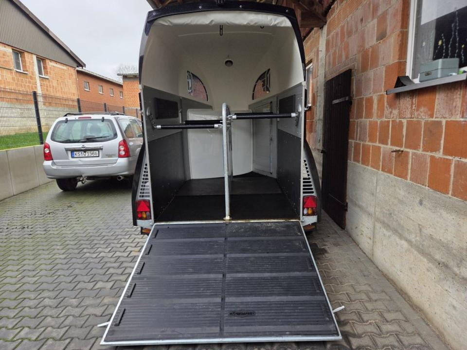 Böckmann Pferdeanhänger Champion R SaKa. WCF-Fahrwerk 100 km/h - Prikolica za konje: slika Böckmann Pferdeanhänger Champion R SaKa. WCF-Fahrwerk 100 km/h - Prikolica za konje Böckmann Pferdeanhänger Champion R SaKa. WCF-Fahrwerk 100 km/h - Prikolica za konje: slika Böckmann Pferdeanhänger Champion R SaKa. WCF-Fahrwerk 100 km/h - Prikolica za konje