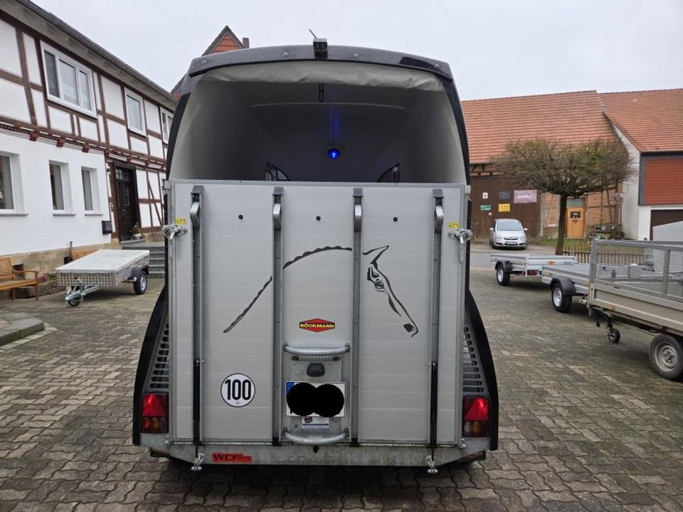 Böckmann Pferdeanhänger Champion R SaKa. WCF-Fahrwerk 100 km/h - Prikolica za konje: slika Böckmann Pferdeanhänger Champion R SaKa. WCF-Fahrwerk 100 km/h - Prikolica za konje Böckmann Pferdeanhänger Champion R SaKa. WCF-Fahrwerk 100 km/h - Prikolica za konje: slika Böckmann Pferdeanhänger Champion R SaKa. WCF-Fahrwerk 100 km/h - Prikolica za konje