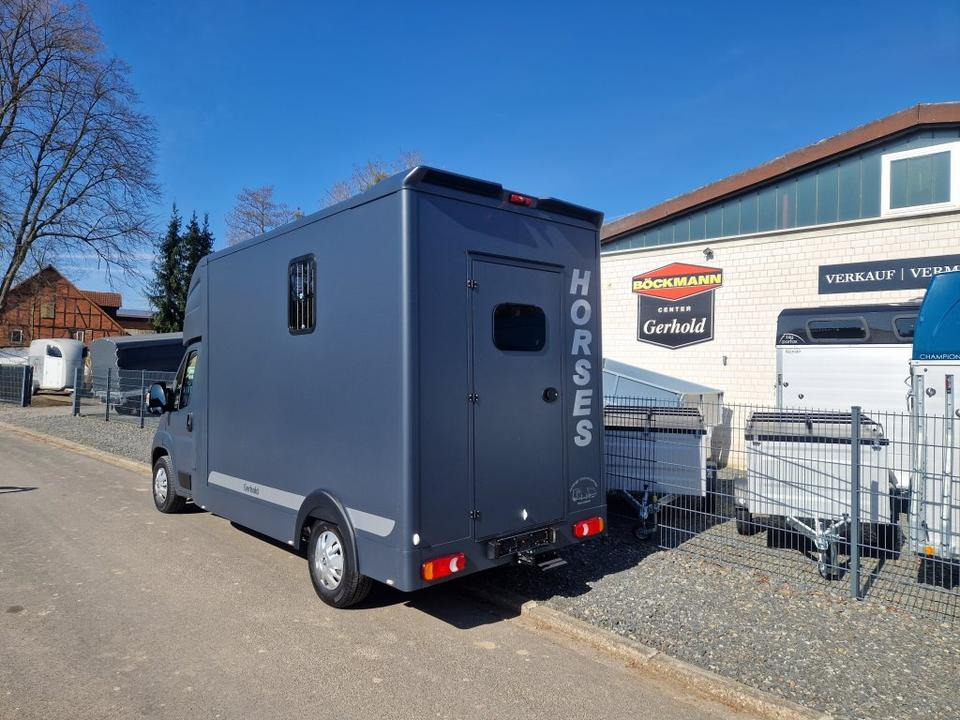 MSG Stablehopper Pferdetransporter Pferdeanhänger Böckmann - Kamion za prijevoz konja: slika MSG Stablehopper Pferdetransporter Pferdeanhänger Böckmann - Kamion za prijevoz konja MSG Stablehopper Pferdetransporter Pferdeanhänger Böckmann - Kamion za prijevoz konja: slika MSG Stablehopper Pferdetransporter Pferdeanhänger Böckmann - Kamion za prijevoz konja