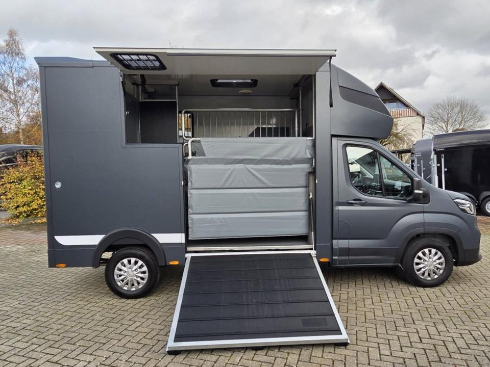 MSG Stablehopper Pferdetransporter Pferdeanhänger Böckmann - Kamion za prijevoz konja: slika MSG Stablehopper Pferdetransporter Pferdeanhänger Böckmann - Kamion za prijevoz konja MSG Stablehopper Pferdetransporter Pferdeanhänger Böckmann - Kamion za prijevoz konja: slika MSG Stablehopper Pferdetransporter Pferdeanhänger Böckmann - Kamion za prijevoz konja