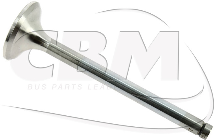 CBM EXHAUST VALVE - MANN FILTRE (C311256) - Ventil za Autobus: slika CBM EXHAUST VALVE - MANN FILTRE (C311256) - Ventil za Autobus CBM EXHAUST VALVE - MANN FILTRE (C311256) - Ventil za Autobus: slika CBM EXHAUST VALVE - MANN FILTRE (C311256) - Ventil za Autobus