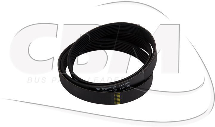 HUTCHINSON BELT - IRISBUS - IVECO - RVI DAF NEOPLAN (5001008878 | 0611049 | 730103278) - Remen za Autobus: slika HUTCHINSON BELT - IRISBUS - IVECO - RVI DAF NEOPLAN (5001008878 | 0611049 | 730103278) - Remen za Autobus HUTCHINSON BELT - IRISBUS - IVECO - RVI DAF NEOPLAN (5001008878 | 0611049 | 730103278) - Remen za Autobus: slika HUTCHINSON BELT - IRISBUS - IVECO - RVI DAF NEOPLAN (5001008878 | 0611049 | 730103278) - Remen za Autobus