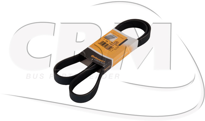 OPTIBELT BELT - SCANIA (1510698) - Remen za Autobus: slika OPTIBELT BELT - SCANIA (1510698) - Remen za Autobus OPTIBELT BELT - SCANIA (1510698) - Remen za Autobus: slika OPTIBELT BELT - SCANIA (1510698) - Remen za Autobus