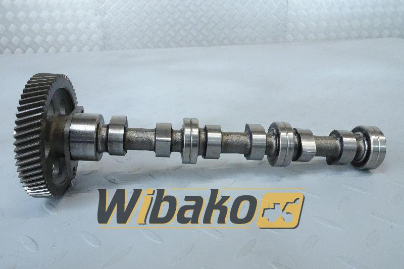 Camshaft for engine Yanmar 3TNV70 14X2-2 - Bregasto vratilo za Građevinski strojevi: slika Camshaft for engine Yanmar 3TNV70 14X2-2 - Bregasto vratilo za Građevinski strojevi Camshaft for engine Yanmar 3TNV70 14X2-2 - Bregasto vratilo za Građevinski strojevi: slika Camshaft for engine Yanmar 3TNV70 14X2-2 - Bregasto vratilo za Građevinski strojevi