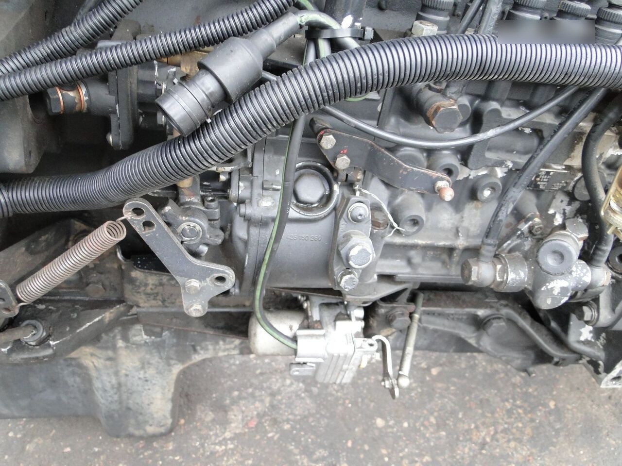 MAN D2865 LF05 MAN F90, F2000 - Motor za Kamion: slika MAN D2865 LF05 MAN F90, F2000 - Motor za Kamion MAN D2865 LF05 MAN F90, F2000 - Motor za Kamion: slika MAN D2865 LF05 MAN F90, F2000 - Motor za Kamion