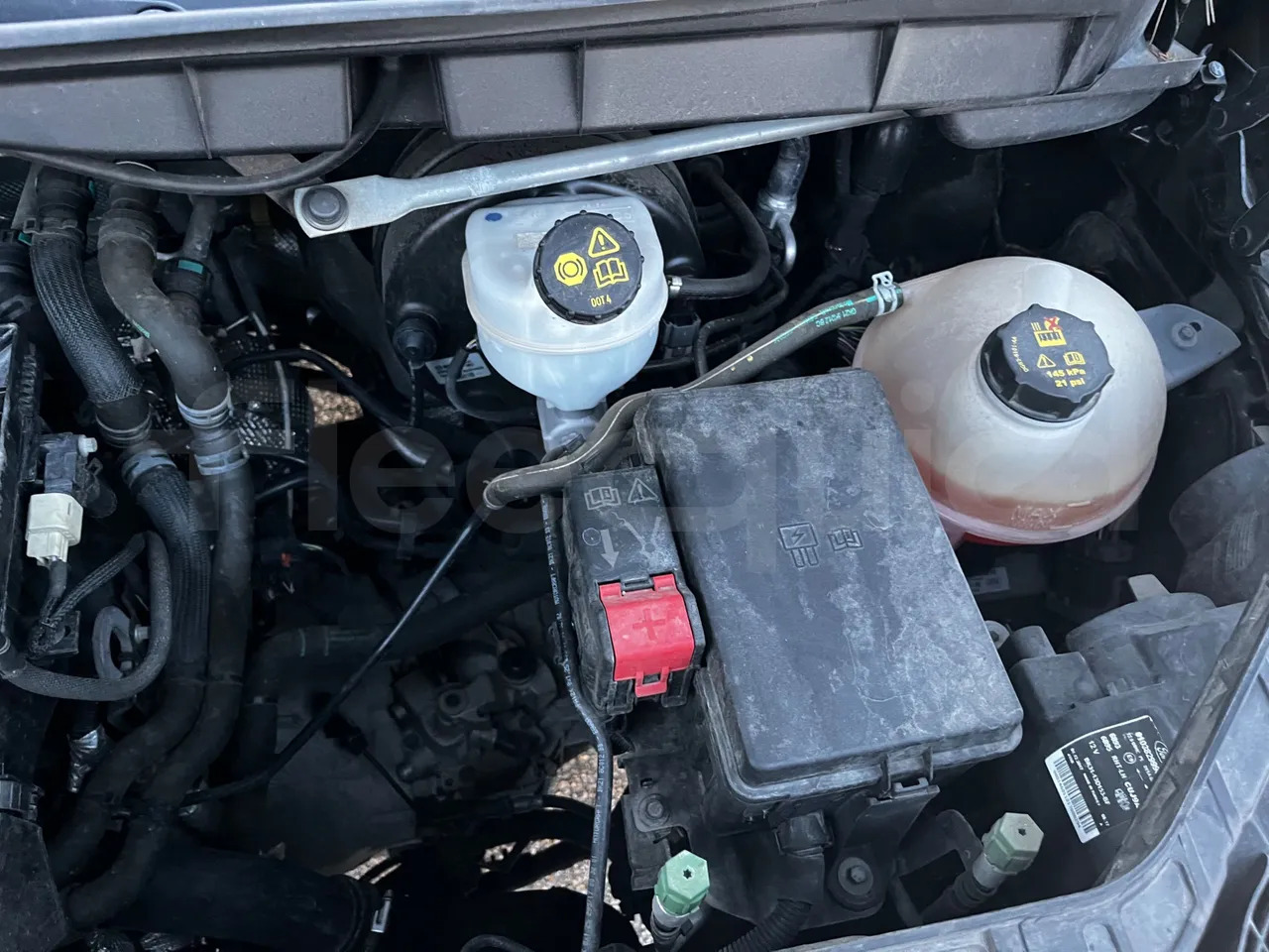 Minibus, Putnički kombi Ford Transit: slika Minibus, Putnički kombi Ford Transit