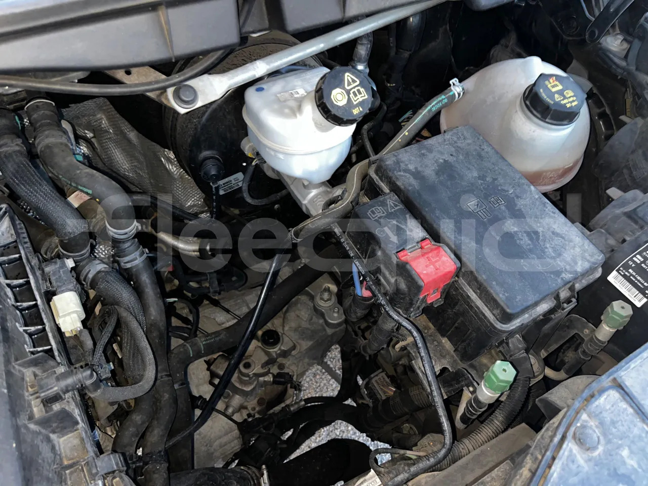 Minibus, Putnički kombi Ford Transit: slika Minibus, Putnički kombi Ford Transit