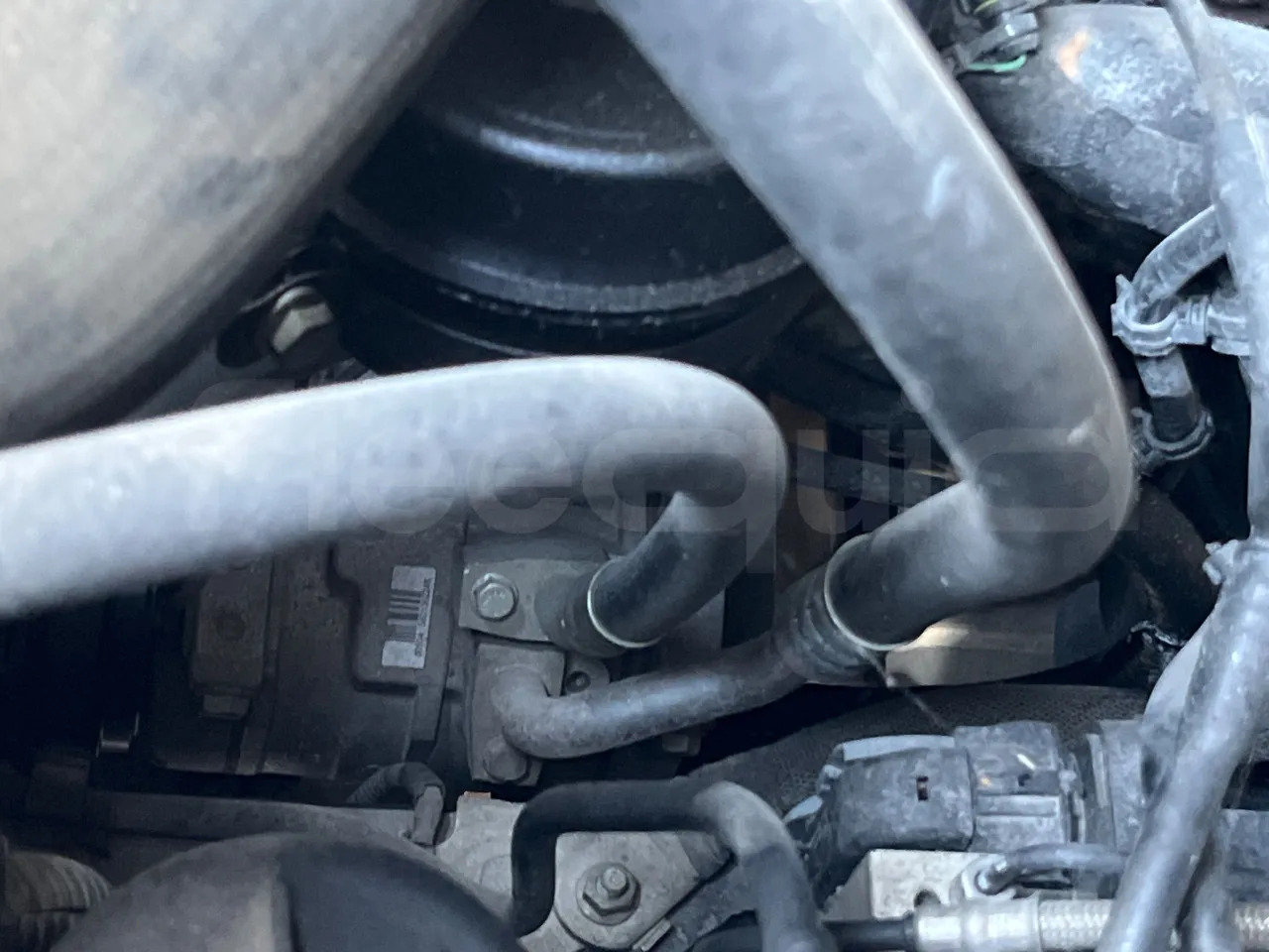 Školski autobus Iveco Daily: slika Školski autobus Iveco Daily Školski autobus Iveco Daily: slika Školski autobus Iveco Daily