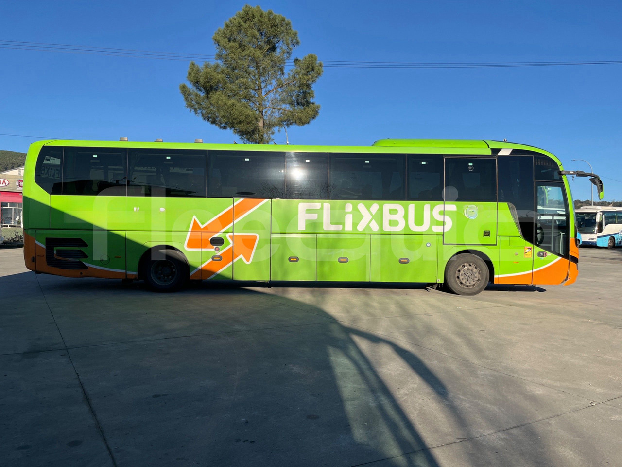 Zakup  Man Lion's Coach Man Lion's Coach: slika Zakup  Man Lion's Coach Man Lion's Coach
