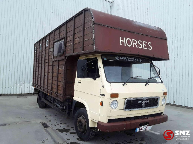 MAN 8.136 - Kamion za prijevoz stoke: slika MAN 8.136 - Kamion za prijevoz stoke MAN 8.136 - Kamion za prijevoz stoke: slika MAN 8.136 - Kamion za prijevoz stoke