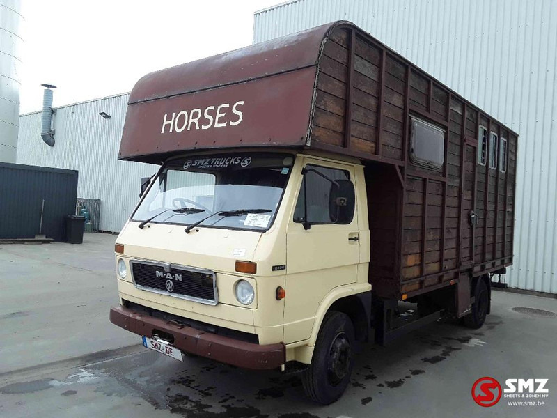 MAN 8.136 - Kamion za prijevoz stoke: slika MAN 8.136 - Kamion za prijevoz stoke MAN 8.136 - Kamion za prijevoz stoke: slika MAN 8.136 - Kamion za prijevoz stoke