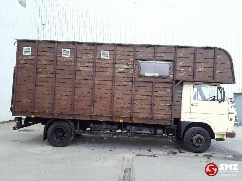 MAN 8.136 - Kamion za prijevoz stoke: slika MAN 8.136 - Kamion za prijevoz stoke MAN 8.136 - Kamion za prijevoz stoke: slika MAN 8.136 - Kamion za prijevoz stoke