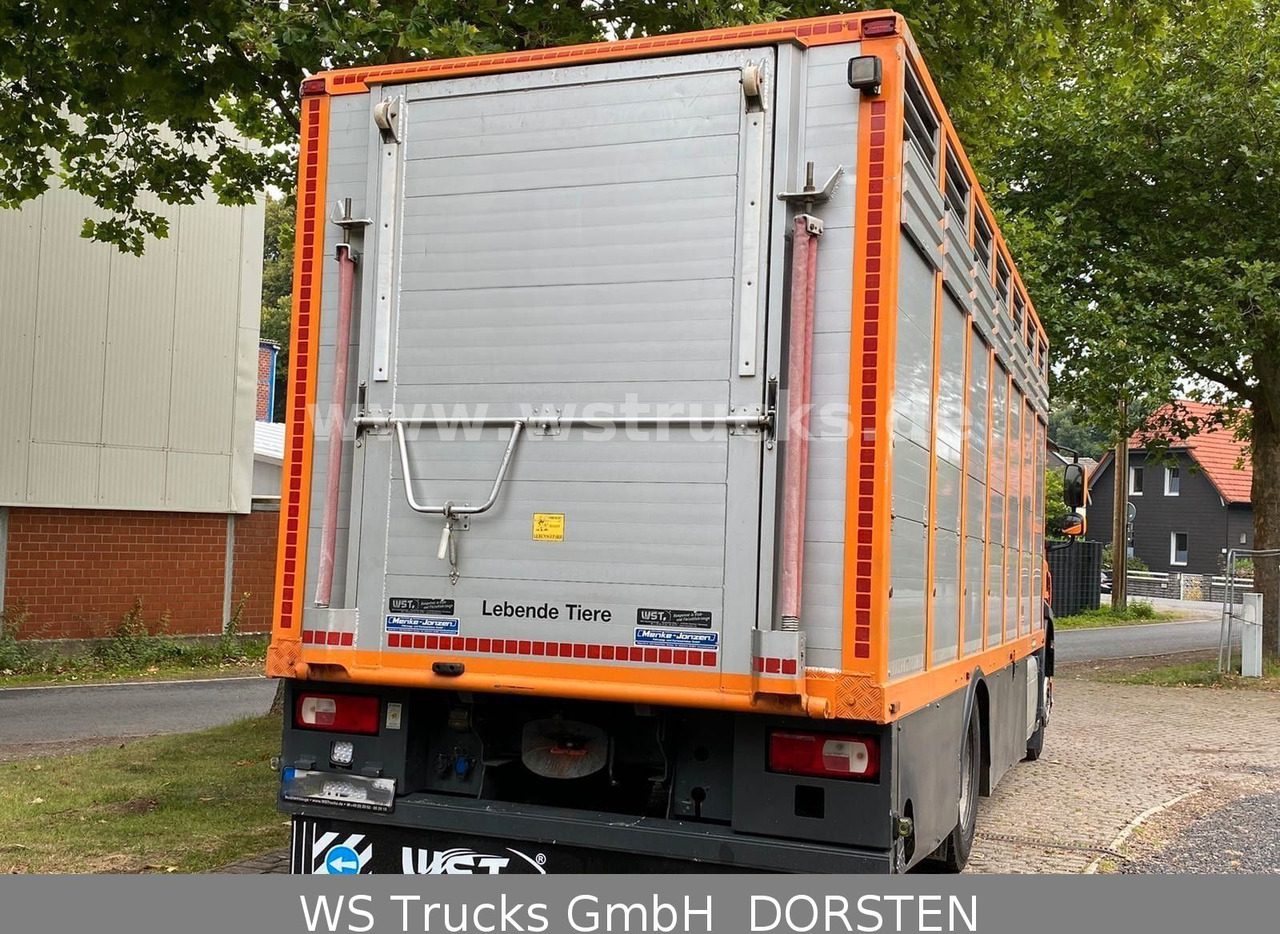 DAF CF 400 Menke Einstock - Kamion za prijevoz konja: slika DAF CF 400 Menke Einstock - Kamion za prijevoz konja DAF CF 400 Menke Einstock - Kamion za prijevoz konja: slika DAF CF 400 Menke Einstock - Kamion za prijevoz konja