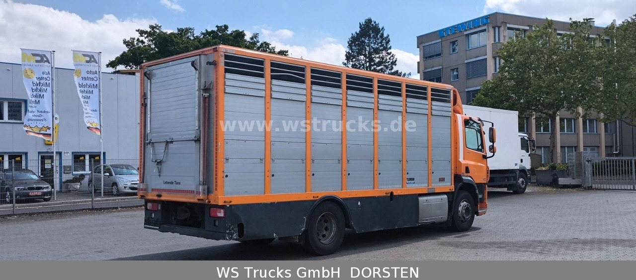 DAF CF 400 Menke Einstock - Kamion za prijevoz konja: slika DAF CF 400 Menke Einstock - Kamion za prijevoz konja DAF CF 400 Menke Einstock - Kamion za prijevoz konja: slika DAF CF 400 Menke Einstock - Kamion za prijevoz konja